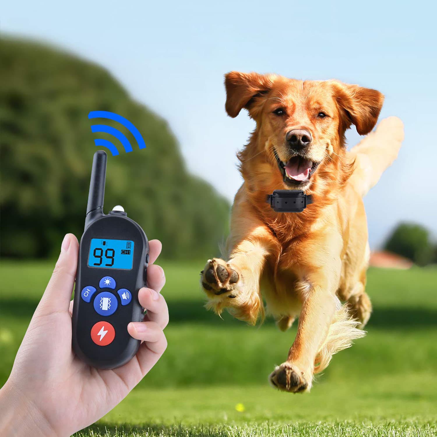 Dog training collar 600 yards with waterproof Rechargeable