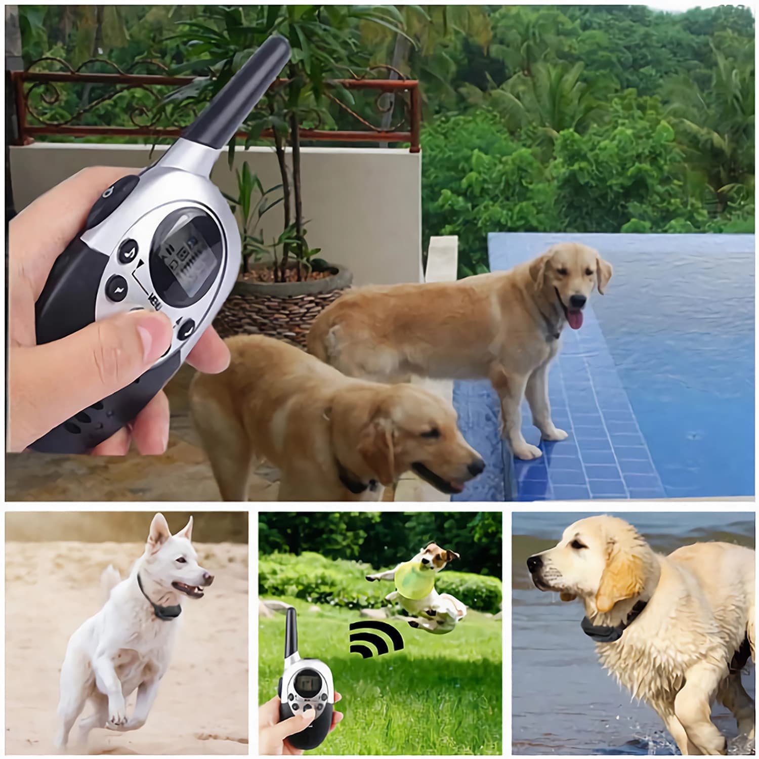 Rechargeable Waterproof Dog Training Collar with remote shock E-Collar