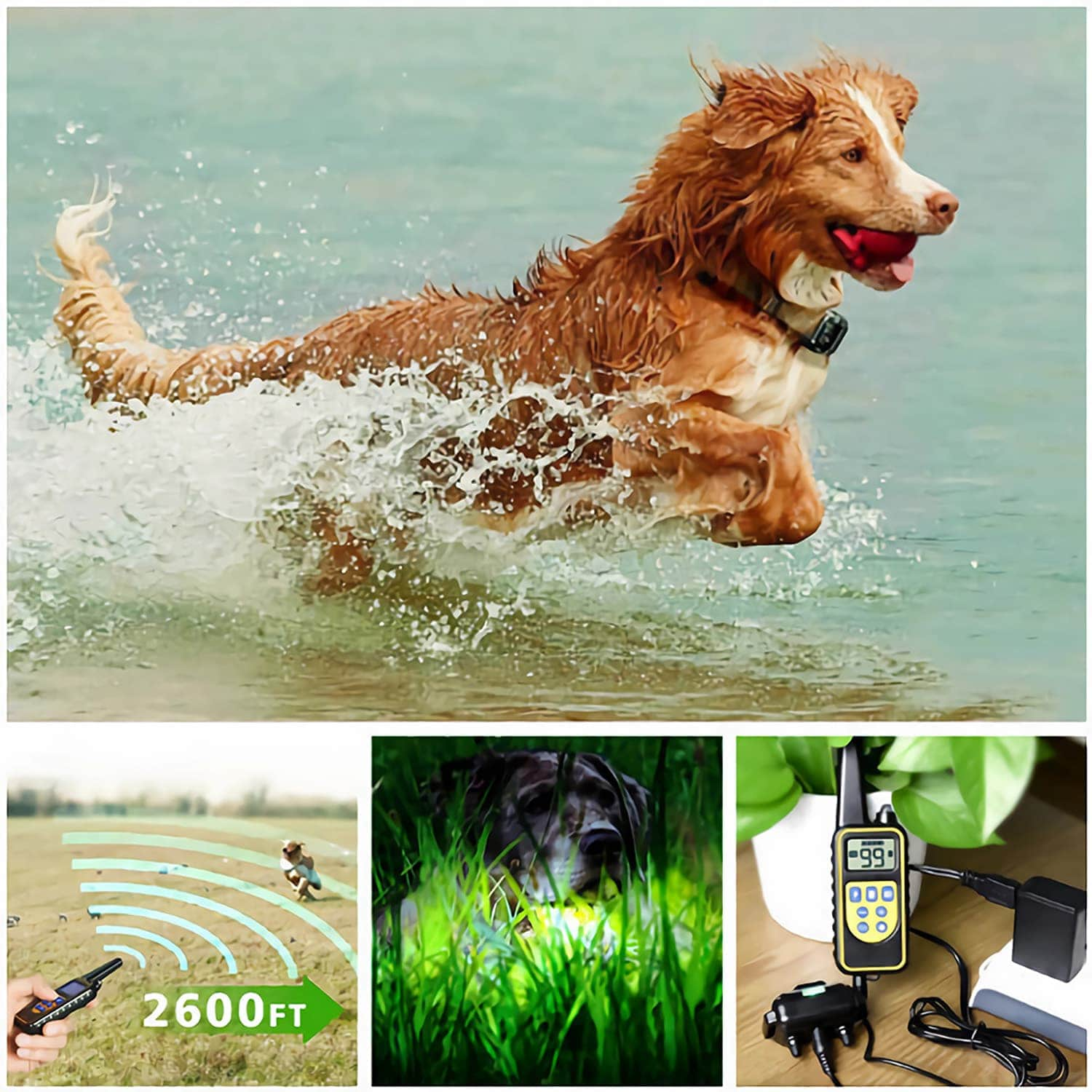 dog training collar 800M remote rechargeable and waterproof dog trainer for 2 dogs