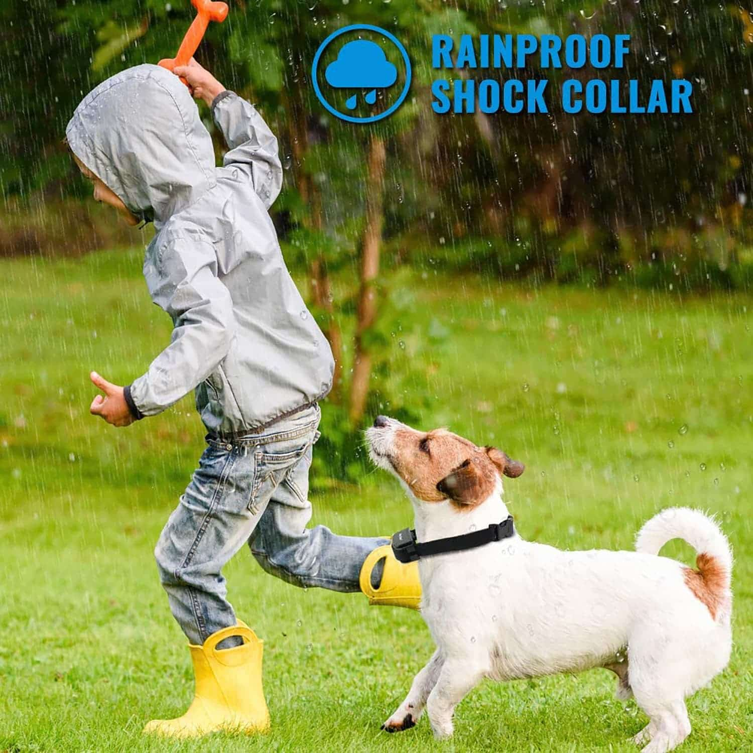 Dog Training Collar with Waterproof Rechargeable Remote