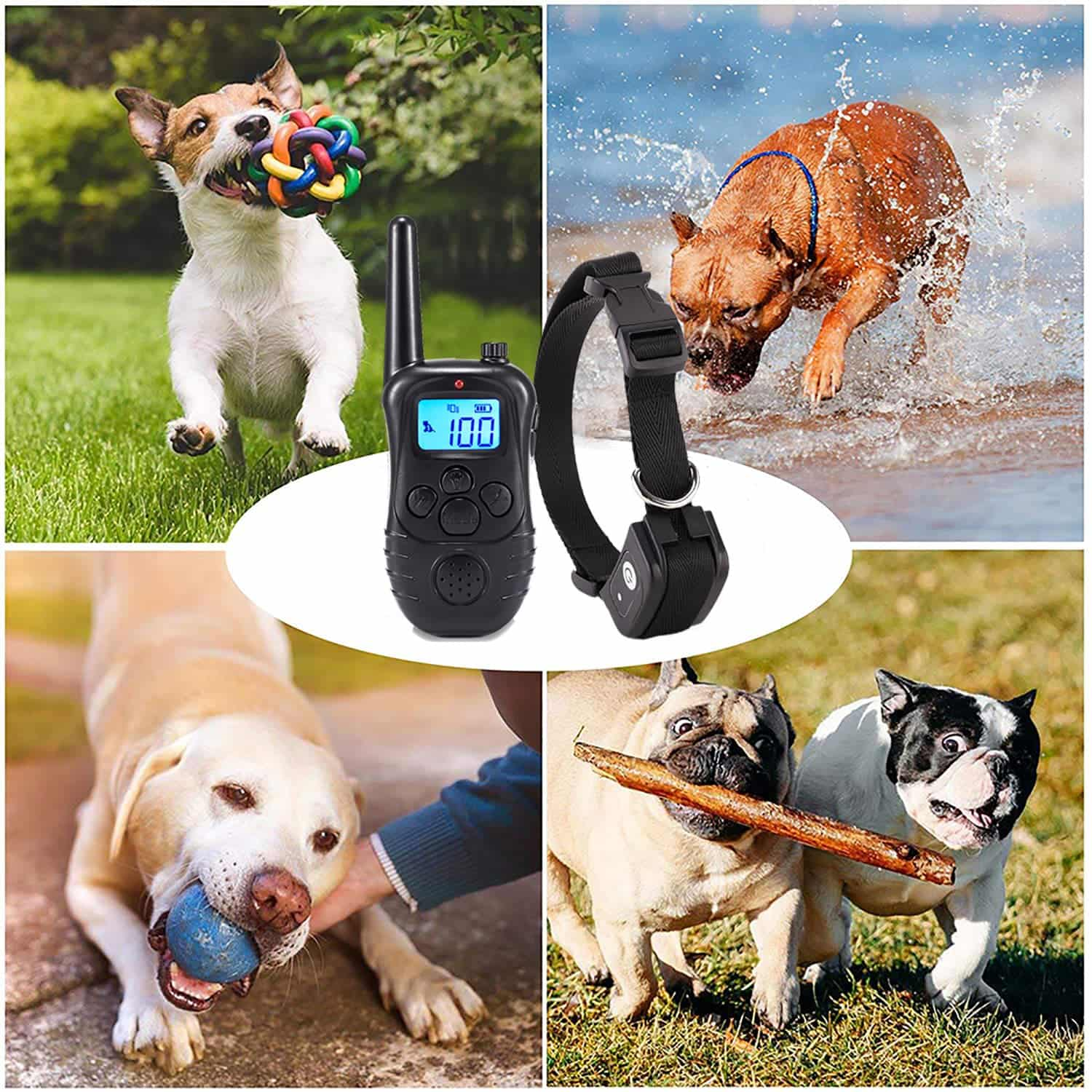 Dog Training Collar with Wireless Remote Waterproof Rechargeable 300M